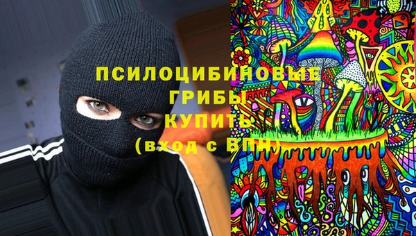 мдпв Армянск