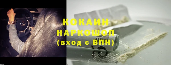 гашик Аркадак