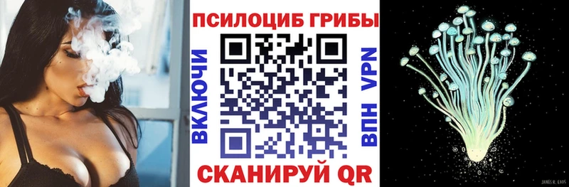Псилоцибиновые грибы GOLDEN TEACHER Усть-Джегута